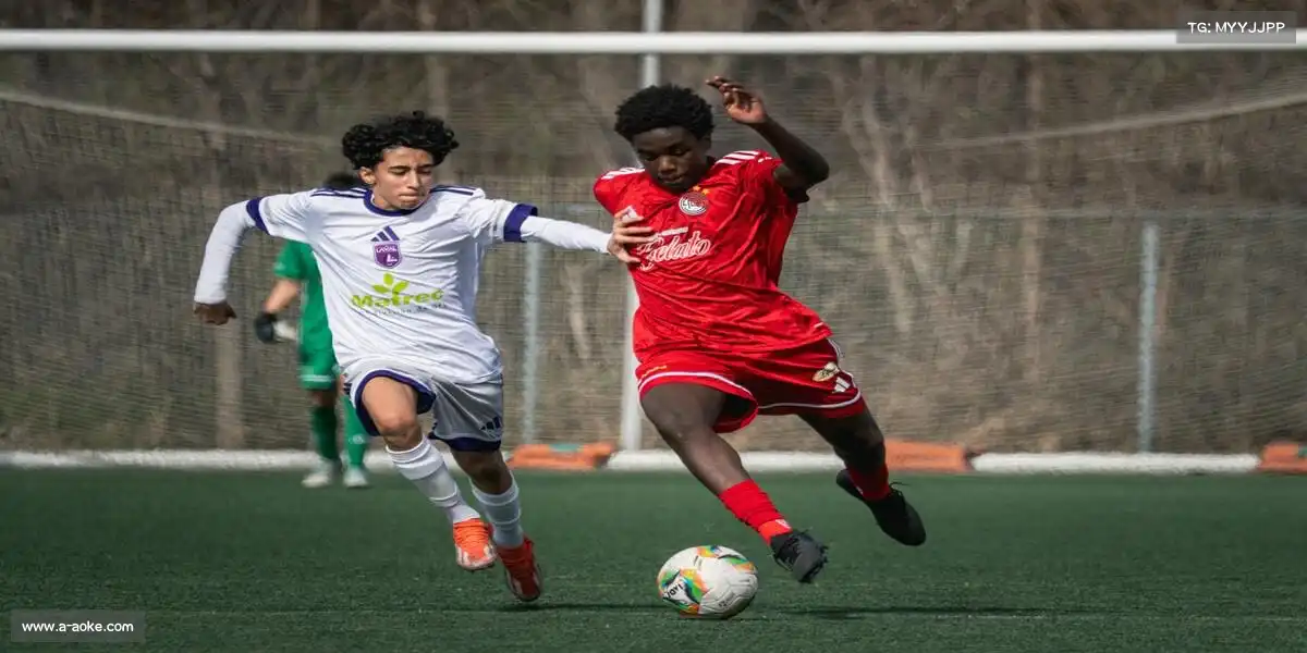 澳客官方网——🧗♂️🌄 抱石动态,云豹扑崖!